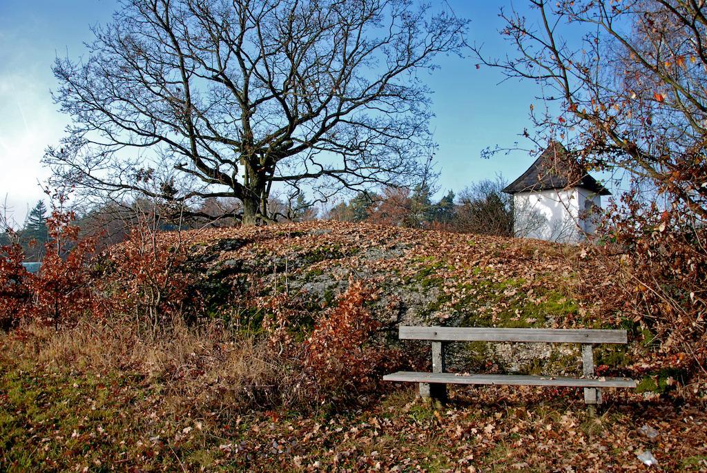 Gasthof Und Pension Haunschmid Rechberg Exteriér fotografie